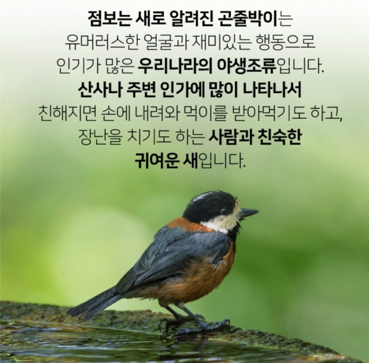 50c75f8656ea31eecbf71e1b0cf4ffb3f624c65d.jpeg