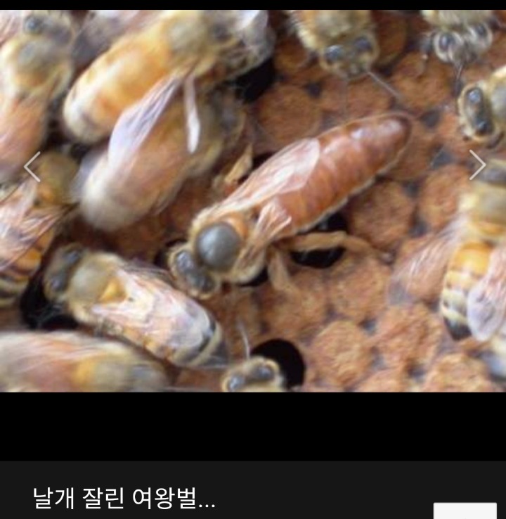0a17ed99499c9c6c7faa85ddeeed5379bd9063cf.jpeg